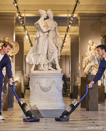 Вертикальный моющий пылесос Dyson WashG1 486236-01