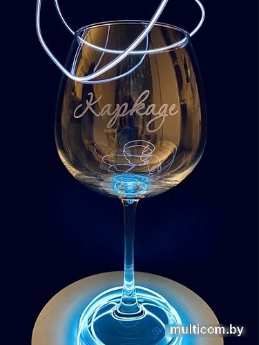 Бокал для вина Мастерская TrueLaser Каркаде BV709