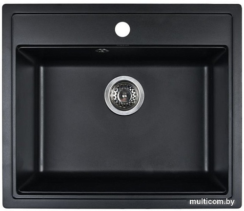 Кухонная мойка Wisent 600-26W (с сифоном GER013)