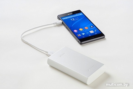 Портативное зарядное устройство Sony CP-S15 (серебристый)