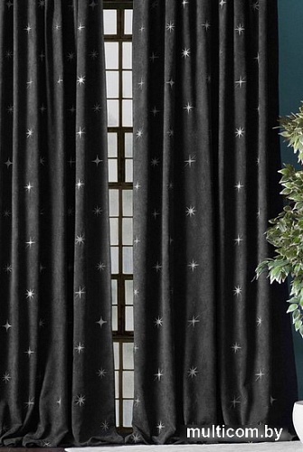 Комплект штор Pasionaria Бэлли 290x230 (2 шт, черный)
