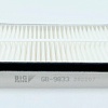 BIG Filter GB-9833