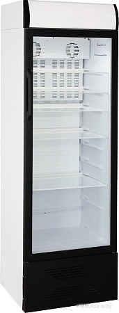 Торговый холодильник Бирюса B310PN
