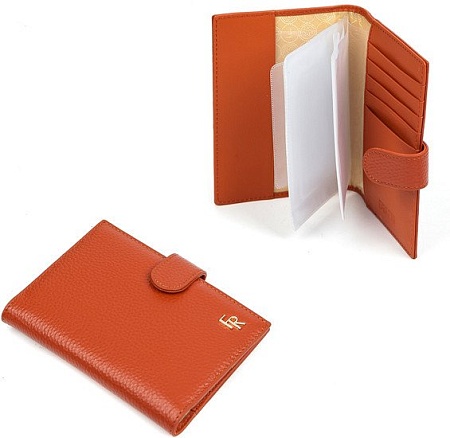 Обложка на документы Fabretti QPC13D-6