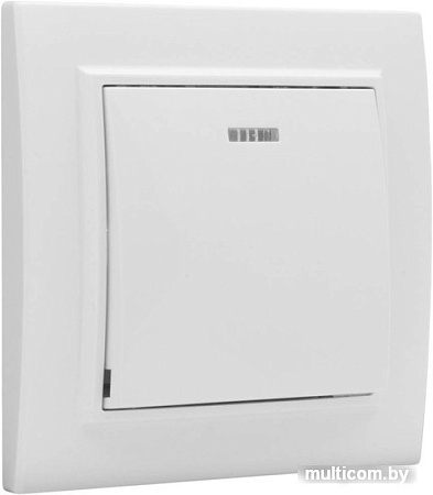 Выключатель EKF Basic Минск ERV10-121-10