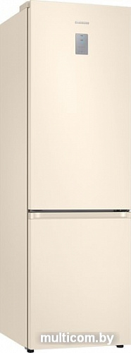 Холодильник Samsung RB36T774FEL/WT