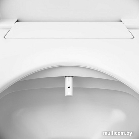 Электронная крышка-биде AM.PM Clean Care CCC7853WH