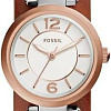 Наручные часы Fossil ES3855