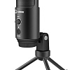 Микрофон Lorgar Voicer 521