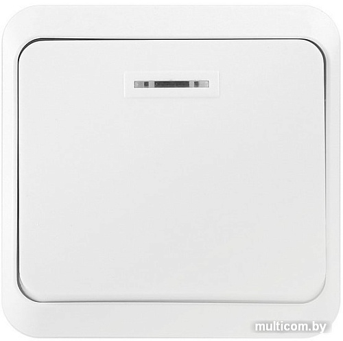 Выключатель Smart Buy SBE-03w-10-SW1-1