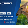 Blaupunkt 55UBC6000T