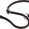 Ошейник-удавка Ferplast Sport CS8/50 75270999 (цвет в ассортименте)