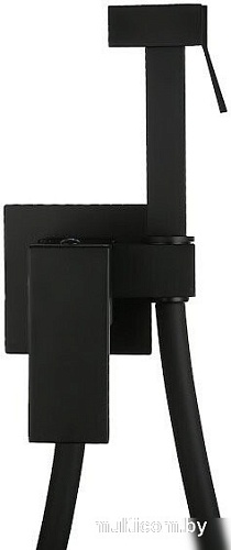 Гигиенический душ Roxen Caspia 50096000-B