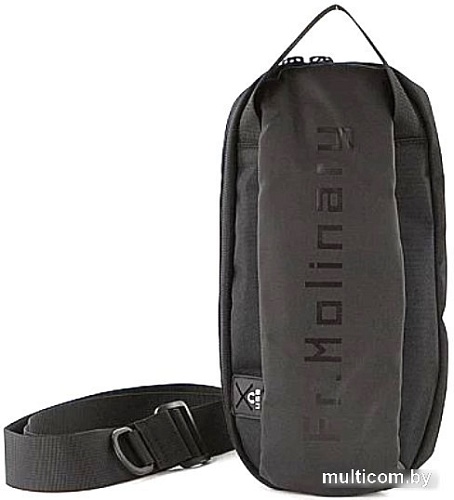 Городской рюкзак Francesco Molinary 304-GXB00131-BLK (черный)