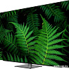 OLED телевизор Витязь 55LU1250