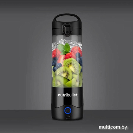 Портативный блендер NutriBullet NBP003B