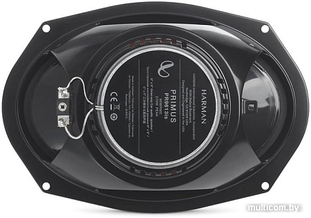 Коаксиальная АС Infinity Primus PR9613is