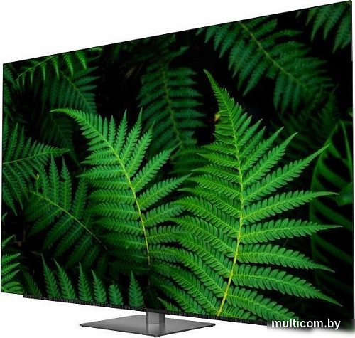 OLED телевизор Витязь 55LU1250