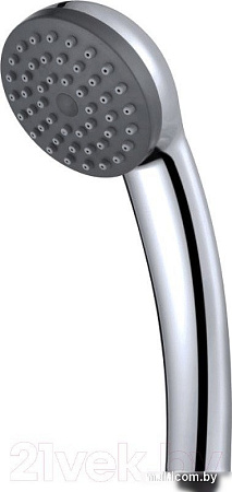 Душевая лейка Aquanet AF000-01C 246905