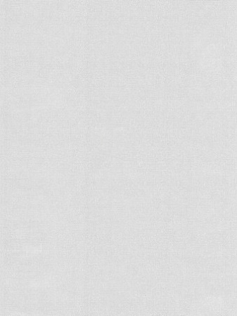 Бумажные обои Московская Обойная Фабрика Рондо фон 6307-1 дуплекс (снежный)