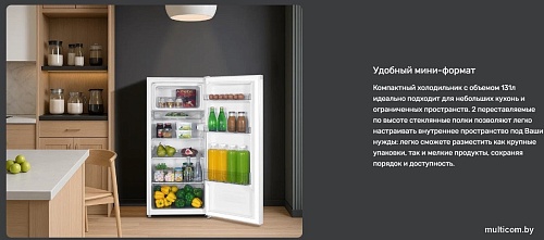 Однокамерный холодильник TECHNO DF1-20N