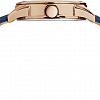 Наручные часы Timex TW2R91200