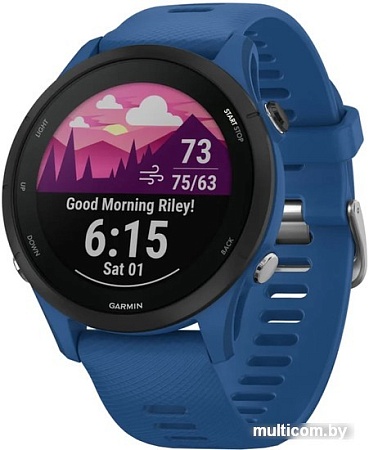 Умные часы Garmin Forerunner 255 46 мм (темно-синий/черный)