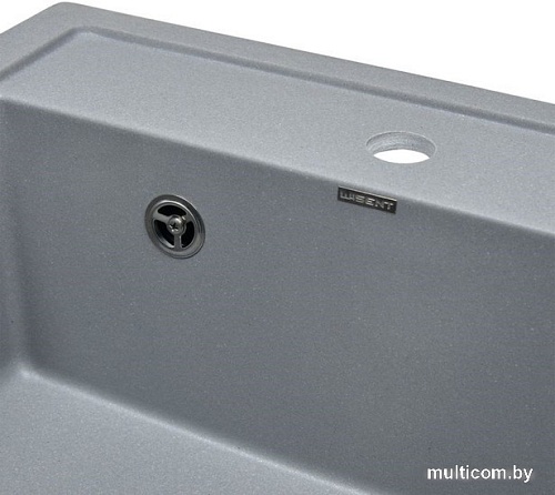 Кухонная мойка Wisent 510-29W (с сифоном GER013)
