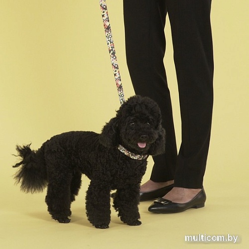 Поводок United Pets Complete Me Leash (S, разноцветный рисунок)