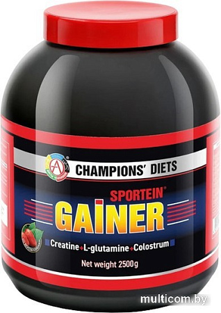 Протеин Академия-Т Sportein Gainer (2500г, клубника)