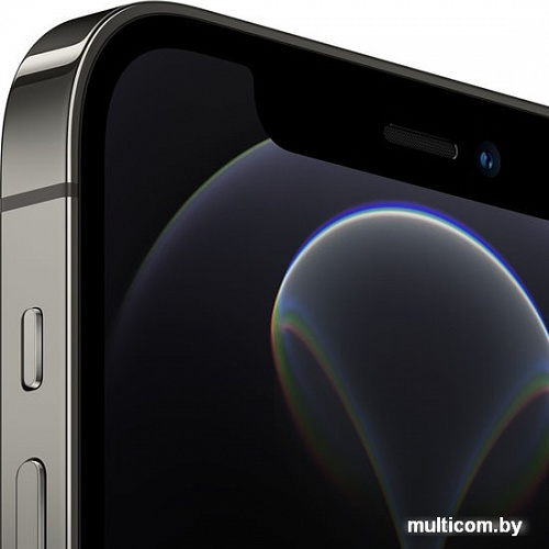 Смартфон Apple iPhone 12 Pro 128GB (графитовый)