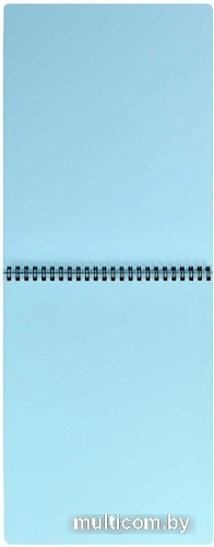 Альбом для рисования Феникс+ Исаакиевский 59481