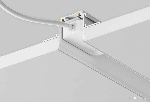 Шинопровод Maytoni Technical Radity TRA084MP-12W