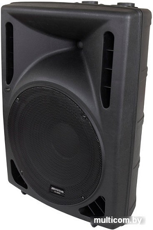 Концертная акустика JB Systems PSA-12