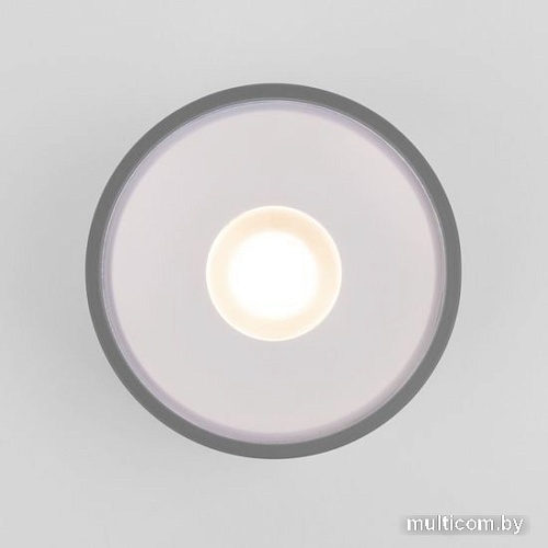 Уличный накладной светильник Elektrostandard Light LED 2135 35141/H (серый)