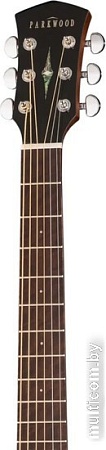 Акустическая гитара Parkwood S22-GT