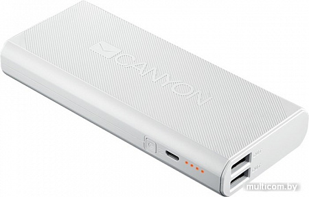 Портативное зарядное устройство Canyon CNE-CPBF100W