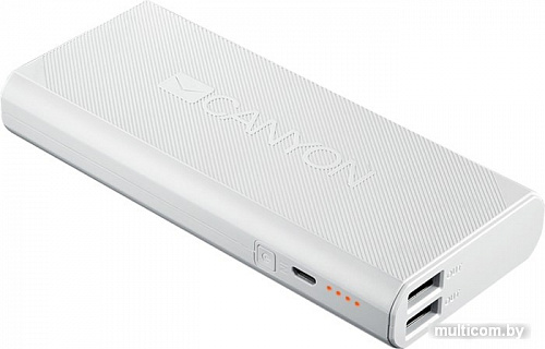 Портативное зарядное устройство Canyon CNE-CPBF100W