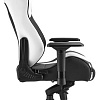 Кресло Sharkoon Shark Skiller SGS3 BK/WH (черный/белый)