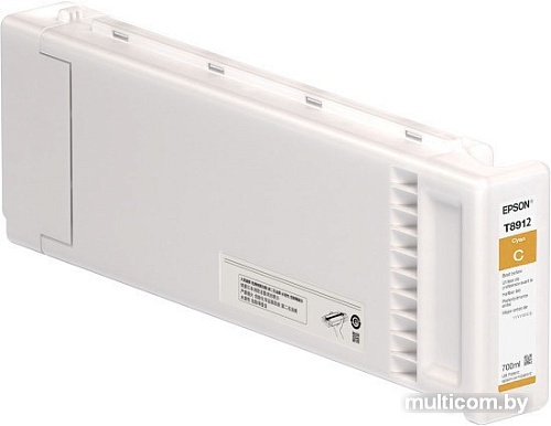 Картридж Epson C13T891200