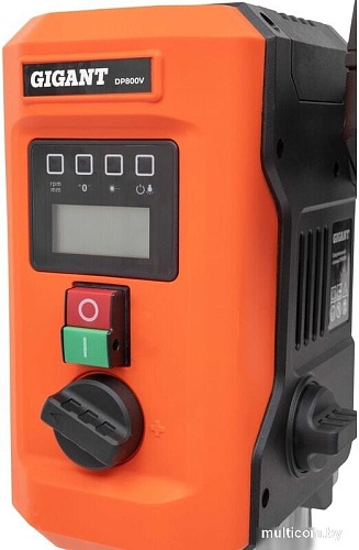 Сверлильный станок Gigant Vario 2S DP800V