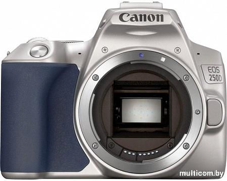 Зеркальный фотоаппарат Canon EOS 250D Kit 18-55 IS STM (серебристый)