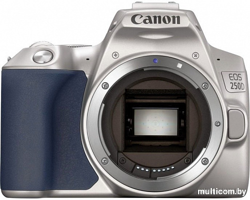 Зеркальный фотоаппарат Canon EOS 250D Kit 18-55 IS STM (серебристый)