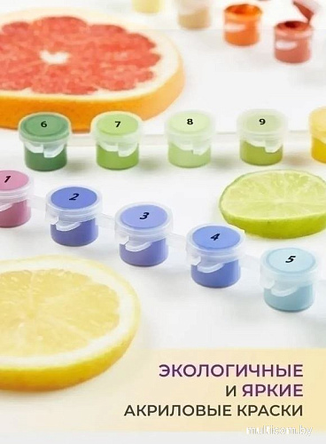 Картина по номерам ILikeGift Японские пельмешки H193