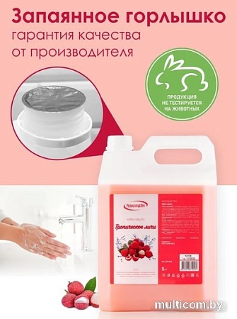 Результат.Про Тропическое личи (5 кг)