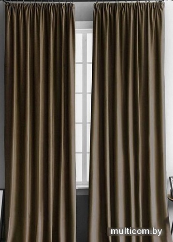 Комплект штор Pasionaria Бархат 290x240 (коричневый)