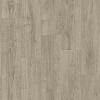 Линолеум Tarkett Sigma Coventry 1 (2.5x3.5м)