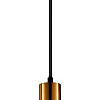 Подвесная люстра F-Promo 4356-1P