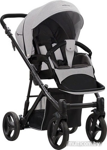 Универсальная коляска BEBETTO Nitello (2 в 1, 05)