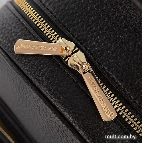 Городской рюкзак David Jones 823-7000-2-BLK (черный)